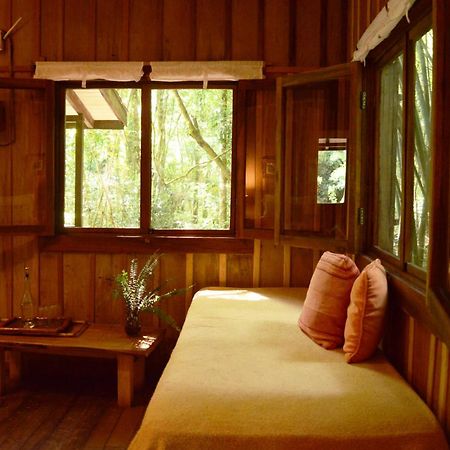 إل سوبربيو Margay - Reserva Natural Y Lodge De Selva المظهر الخارجي الصورة