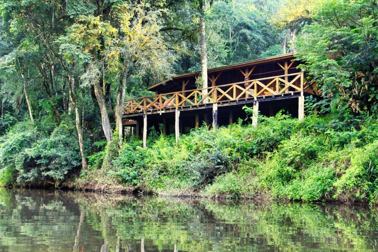 إل سوبربيو Margay - Reserva Natural Y Lodge De Selva المظهر الخارجي الصورة