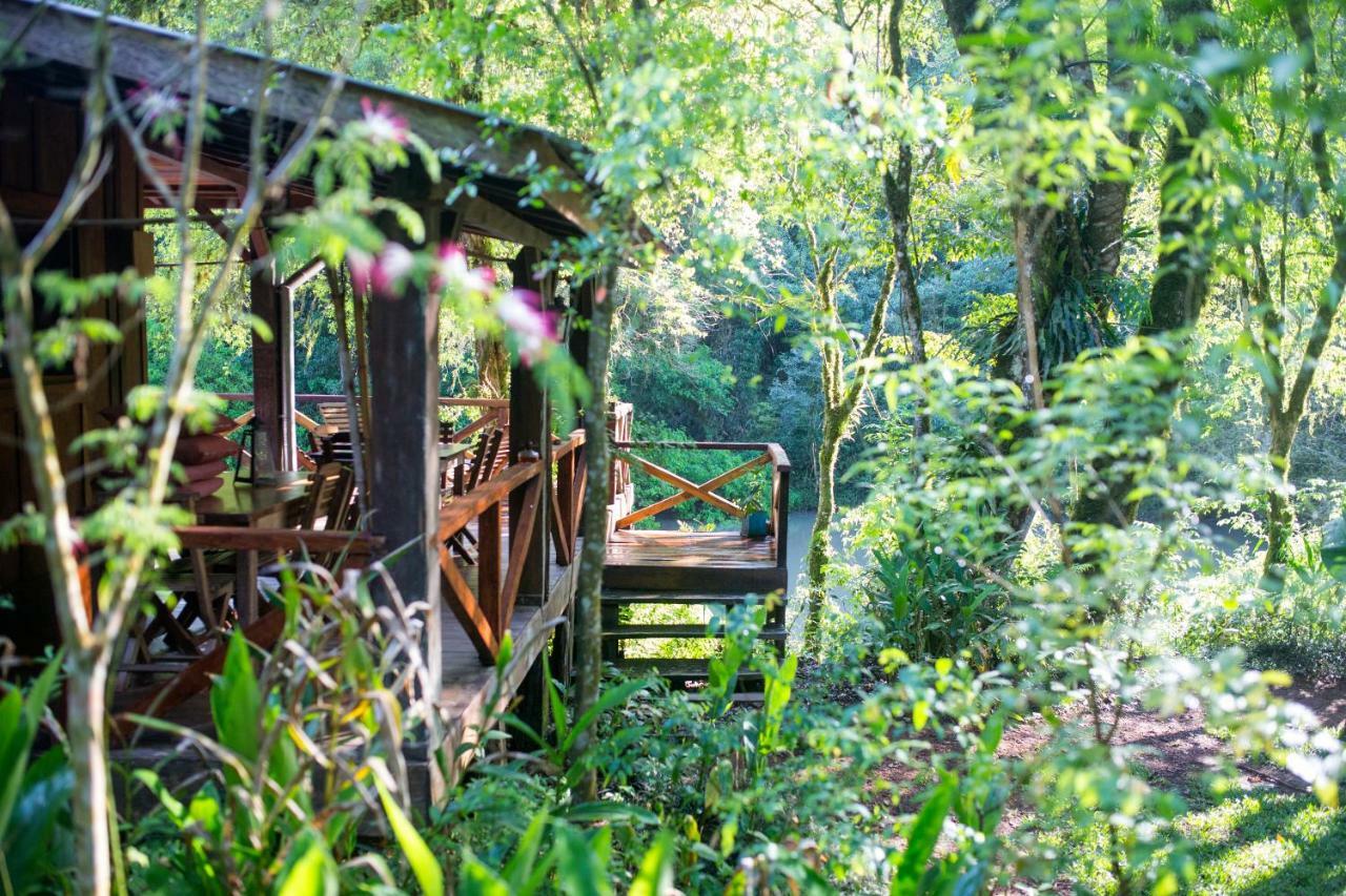 إل سوبربيو Margay - Reserva Natural Y Lodge De Selva المظهر الخارجي الصورة